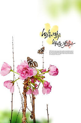 PSD 식물 동물 편집이미지 꽃 분홍색 컬러 여러송이 나비 곤충 백그라운드 자연 풍경 사람없음 나뭇가지 이미지편집 나무 다수 생태계 파일형식