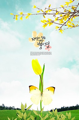 PSD 식물 동물 구름 편집이미지 계절 꽃 컬러 나비 곤충 백그라운드 한송이 자연 하늘 나뭇잎 풍경 잔디 초원 사람없음 노란색 봄 풀 개나리 이미지편집 자연요소 1 잎 생태계 송이 파일형식