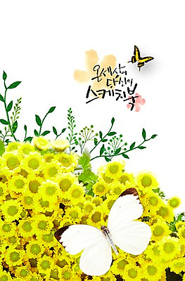 PSD 식물 동물 편집이미지 꽃 컬러 여러송이 나비 곤충 백그라운드 자연 풍경 사람없음 노란색 풀 이미지편집 다수 생태계 파일형식