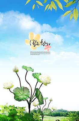 PSD 나무 식물 구름 편집이미지 꽃 컬러 여러송이 백그라운드 잎 자연 하늘 나뭇잎 풍경 잔디 초원 사람없음 흰색 나뭇가지 풀 이미지편집 자연요소 다수 생태계 파일형식