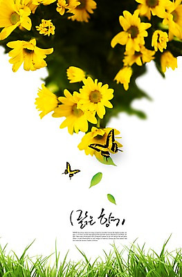 PSD 식물 동물 편집이미지 꽃 컬러 여러송이 나비 곤충 백그라운드 잎 자연 나뭇잎 풍경 잔디 초원 사람없음 노란색 풀 이미지편집 다수 생태계 파일형식