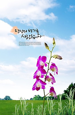 PSD 나무 식물 구름 편집이미지 꽃 컬러 여러송이 백그라운드 자연 하늘 풍경 잔디 초원 사람없음 보라색 풀 이미지편집 자연요소 다수 생태계 파일형식