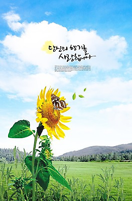 PSD 식물 동물 구름 편집이미지 꽃 컬러 나비 곤충 백그라운드 한송이 자연 하늘 해바라기 산 풍경 잔디 초원 사람없음 노란색 풀 이미지편집 자연요소 1 생태계 송이 파일형식