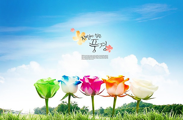 PSD 식물 구름 편집이미지 꽃 컬러 여러송이 백그라운드 자연 하늘 풍경 잔디 초원 사람없음 컬러풀 장미 풀 이미지편집 자연요소 다수 생태계 파일형식