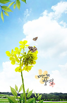 PSD 나무 식물 동물 구름 편집이미지 꽃 컬러 나비 곤충 백그라운드 잎 한송이 자연 하늘 나뭇잎 풍경 잔디 초원 사람없음 노란색 나뭇가지 풀 이미지편집 자연요소 1 생태계 송이 파일형식