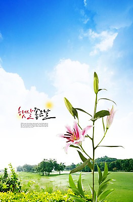 PSD 나무 식물 구름 편집이미지 꽃 분홍색 컬러 백그라운드 잎 자연 하늘 풍경 잔디 초원 사람없음 풀 백합 두송이 이미지편집 자연요소 2 생태계 파일형식