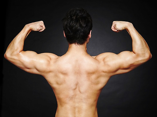 포토 JPG 스튜디오촬영 라이프스타일 남자 맨라이프 포즈 몸매관리 모션 검은배경 근육 상의탈의 실내 건강 한명 사람 동양인 상반신 20대 성인 뒷모습 운동 건강관리 헬스 한국인 등 헬스동작 알통 팔근육 남자만 남자한명만 성인남자만 청년만 청년남자만 청년남자한명만 성인한명만 성인남자한명만 성인만 국내포토 1 뷰포인트 백그라운드 다이어트 탈의 관리 인종 청년 내부 생활 신체부위 검은색 파일형식