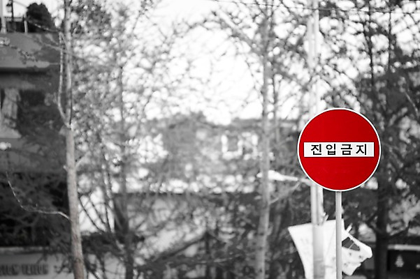 포토 JPG 주간 식물 기호 컬러 안내 알림판 사람없음 야외 빨간색 금지 나뭇가지 표지판 지시 주위 교통표지 명령 진입금지 국내포토 자연요소 나무 문자 교통 모션 파일형식