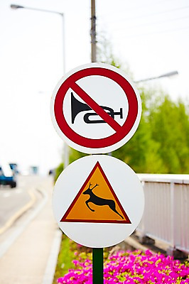 포토 JPG 주간 기호 도로 길 컬러 안내 알림판 사람없음 야외 아웃포커스 노란색 차도 금지 표지판 지시 주위 동물보호 교통표지 명령 경적 동물보호구역 보호구역 클락션금지 국내포토 자연요소 문자 교통 교통시설 모션 촬영기법 사회이슈 구역 파일형식