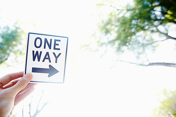 포토 JPG 주간 나무 식물 손 기호 화살표 안내 한손 알림판 한명 들기 사람 야외 신체부위 빛 햇빛 나뭇가지 표지판 지시 주위 교통표지 명령 일방통행 국내포토 자연요소 문자 1 교통 모션 태양 통행 파일형식