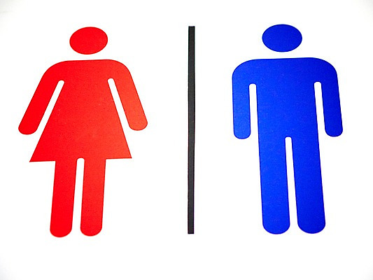 포토 JPG 주간 기호 공공시설 안내 알림판 근접촬영 사람없음 야외 아웃포커스 표지판 지시 화장실 명령 국내포토 자연요소 문자 뷰포인트 모션 촬영기법 시설 파일형식