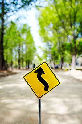 포토 JPG 주간 나무 식물 기호 화살표 길 컬러 안내 알림판 사람없음 야외 아웃포커스 노란색 산책로 표지판 지시 주위 교통표지 명령 우좌로이중굽은도로 국내포토 자연요소 문자 도로 교통 모션 촬영기법 파일형식