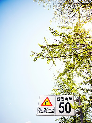 포토 JPG 주간 나무 식물 기호 화살표 로우앵글 컬러 안내 알림판 사람없음 야외 노란색 표지판 지시 주위 교통표지 명령 안전속도 우로굽은도로 제한속도 국내포토 자연요소 문자 도로 뷰포인트 교통 모션 속도 파일형식