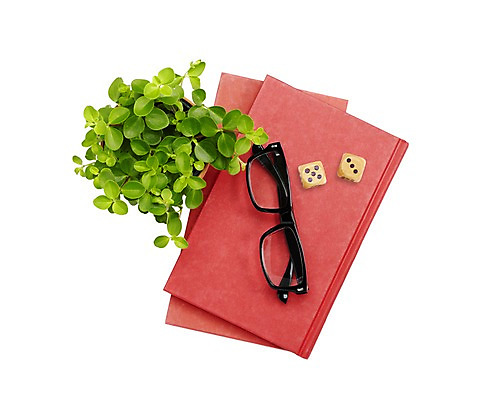 PSD 식물 편집 편집이미지 화분 안경 잎 사람없음 책 사각형 오브젝트 주사위 정사각형 합성 편집소스 이미지편집 편집실사 도형 잡화 CG 파일형식