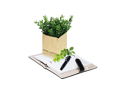 PSD 식물 편집 편집이미지 화분 잎 사람없음 필기구 펜 볼펜 다이어리 공책 메모지 오브젝트 합성 편집소스 이미지편집 편집실사 문구용품 사무용품 CG 파일형식