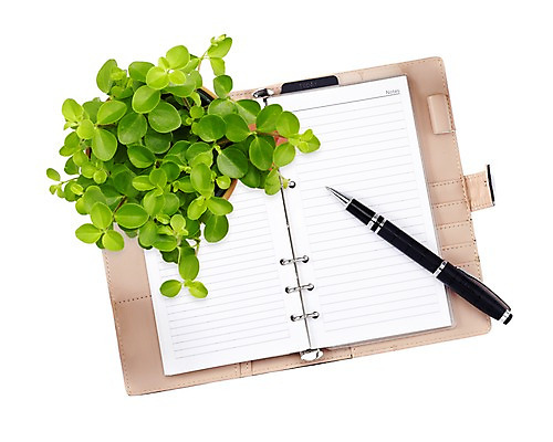 PSD 식물 편집 편집이미지 잎 사람없음 필기구 펜 볼펜 다이어리 공책 메모지 오브젝트 합성 편집소스 이미지편집 편집실사 문구용품 사무용품 CG 파일형식