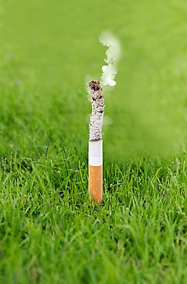 PSD 편집 편집이미지 캠페인 흡연 담배 건강 경고 잔디 초원 사람없음 건강관리 풀 연기 결심 담뱃재 금연 기호식품 담배꽁초 담배연기 한개비 이미지편집 식물 1 음식 컨셉 관리 사회이슈 파일형식