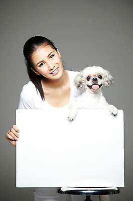 포토 JPG 스튜디오촬영 외국인 동물 해외기획촬영 한마리 우먼라이프 라이프스타일 배너 2012년태국 여자 반려견 캠페인 의자 포유류 회색배경 사각프레임 광고판 실내 한명 서기 미소 웃음 들기 사람 동양인 20대 성인 앞모습 반려동물 개 강아지 시츄 보호 알림 동물보호 반려 유기견 여자만 여자한명만 성인여자만 청년만 청년여자만 성인한명만 청년여자한명만 성인여자한명만 성인만 펫팸족 국내포토 1 뷰포인트 가구 백그라운드 컨셉 모션 프레임 알림판 표정 인종 청년 내부 생활 사각형 회색 사회이슈 판 신조어 파일형식 유기동물