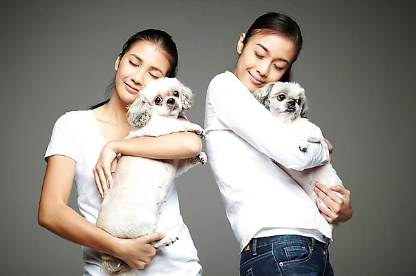 포토 JPG 스튜디오촬영 외국인 동물 해외기획촬영 한마리 우먼라이프 라이프스타일 2012년태국 여자 반려견 캠페인 포유류 안기 회색배경 실내 사랑 미소 웃음 사람 동양인 상반신 20대 성인 두명 앞모습 반려동물 눈감음 개 강아지 시츄 보호 동물보호 반려 유기견 여자만 성인여자만 청년만 청년여자만 성인만 펫팸족 국내포토 1 감정 뷰포인트 백그라운드 컨셉 모션 표정 인종 청년 내부 생활 회색 사회이슈 신조어 파일형식 유기동물