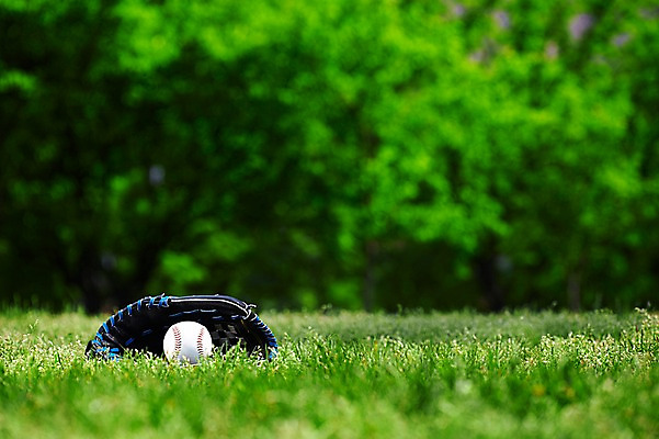 포토 JPG 주간 나무 식물 공원 스포츠용품 스포츠 컬러 백그라운드 공 레저 건강 잔디 초원 취미 사람없음 야외 아웃포커스 초록색 레포츠 세트 운동 야구 야구용품 글러브 야구글러브 풀 야구공 식물백그라운드 여의도공원 국내포토 자연요소 공공시설 장갑 촬영기법 구기 오브젝트 여의도 파일형식