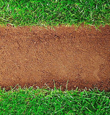 포토 JPG 주간 식물 길 모래 컬러 백그라운드 실내 잔디 초원 사람없음 야외 초록색 하이앵글 갈색 흙 풀 식물백그라운드 국내포토 자연요소 뷰포인트 내부 파일형식