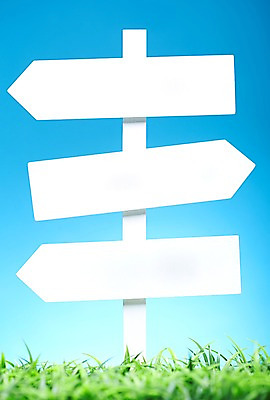 포토 JPG 스튜디오촬영 식물 컬러 백그라운드 알림판 실내 누끼 잔디 초원 사람없음 초록색 표지판 풀 식물백그라운드 국내포토 내부 파일형식