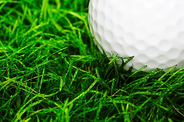 포토 JPG 스튜디오촬영 식물 스포츠용품 스포츠 컬러 백그라운드 골프 스포츠시설 필드 레저 골프공 골프용품 실내 근접촬영 잔디 초원 사람없음 초록색 레포츠 풀 식물백그라운드 국내포토 뷰포인트 공 내부 구기 오브젝트 시설 파일형식