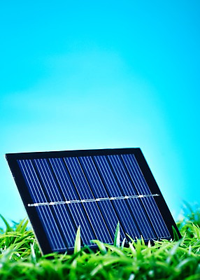 포토 JPG 스튜디오촬영 식물 컬러 백그라운드 실내 잔디 초원 사람없음 초록색 환경 풀 환경오염 오염 사회이슈 환경보전 첨단과학 태양에너지 식물백그라운드 집열판 기술발전 기술진보 국내포토 과학 컨셉 기술 내부 발전 그린에너지 파일형식