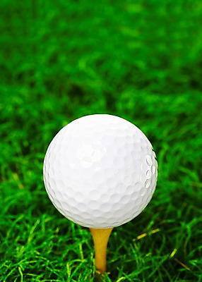 포토 JPG 스튜디오촬영 식물 스포츠용품 스포츠 컬러 백그라운드 골프 스포츠시설 필드 레저 골프공 골프용품 실내 근접촬영 잔디 초원 사람없음 아웃포커스 초록색 레포츠 풀 식물백그라운드 국내포토 뷰포인트 공 촬영기법 내부 구기 오브젝트 시설 파일형식