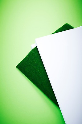 포토 JPG 스튜디오촬영 식물 종이 컬러 백그라운드 프레임 실내 잔디 초원 사람없음 초록색 하이앵글 흰색 풀 백지 식물백그라운드 국내포토 뷰포인트 내부 파일형식