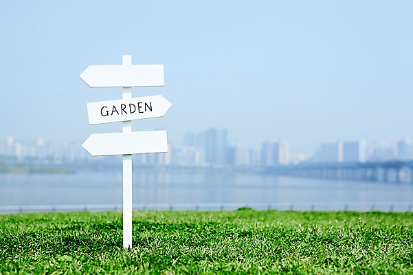 포토 JPG 주간 식물 건축물 백그라운드 알림판 빌딩 잔디 초원 사람없음 야외 건물 아웃포커스 고층빌딩 표지판 풀 식물백그라운드 한강시민공원 국내포토 자연요소 공원 건축 촬영기법 한강 파일형식