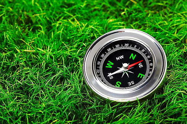 포토 JPG 스튜디오촬영 식물 백그라운드 실내 근접촬영 잔디 초원 사람없음 도구 풀 나침반 방향 식물백그라운드 국내포토 뷰포인트 내부 파일형식