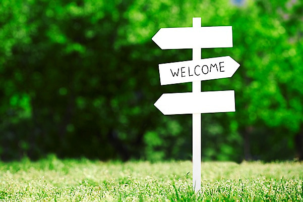 포토 JPG 주간 나무 식물 공원 컬러 백그라운드 알림판 잔디 초원 사람없음 야외 아웃포커스 초록색 표지판 풀 식물백그라운드 환영 여의도공원 웰컴 국내포토 자연요소 공공시설 촬영기법 여의도 파일형식