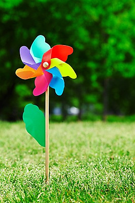 포토 JPG 주간 나무 식물 공원 컬러 백그라운드 잔디 초원 사람없음 야외 아웃포커스 초록색 장난감 놀이용품 풀 바람개비 식물백그라운드 여의도공원 국내포토 자연요소 공공시설 촬영기법 오브젝트 여의도 파일형식