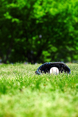 포토 JPG 주간 나무 식물 공원 스포츠용품 스포츠 컬러 백그라운드 공 레저 건강 잔디 초원 취미 사람없음 야외 아웃포커스 초록색 레포츠 세트 운동 야구 야구용품 글러브 야구글러브 풀 야구공 식물백그라운드 여의도공원 국내포토 자연요소 공공시설 장갑 촬영기법 구기 오브젝트 여의도 파일형식