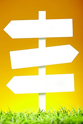 포토 JPG 스튜디오촬영 식물 컬러 백그라운드 알림판 실내 잔디 초원 사람없음 초록색 표지판 풀 식물백그라운드 국내포토 내부 파일형식