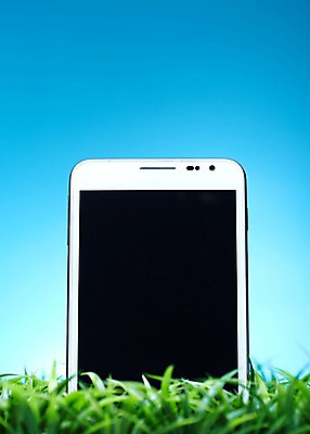 포토 JPG 스튜디오촬영 식물 백그라운드 무선통신 실내 잔디 초원 사람없음 스마트폰 통신기기 풀 전화기 식물백그라운드 국내포토 통신 내부 핸드폰 스마트기기 기계 파일형식