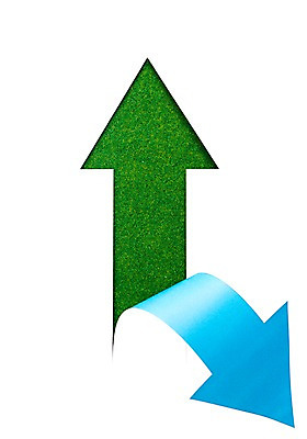 포토 JPG 스튜디오촬영 식물 화살표 컬러 백그라운드 실내 누끼 잔디 초원 사람없음 초록색 풀 방향 식물백그라운드 국내포토 내부 파일형식