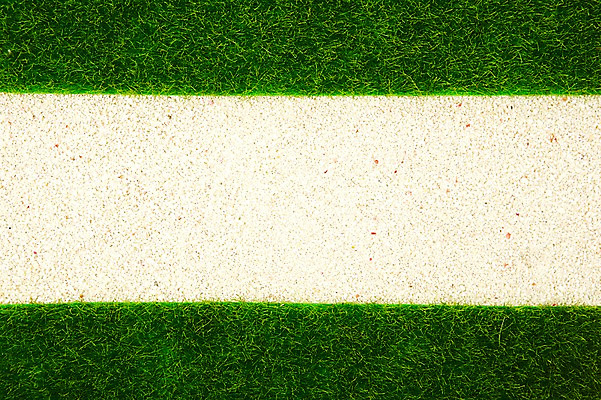 포토 JPG 스튜디오촬영 식물 모래 컬러 백그라운드 실내 잔디 사람없음 초록색 하이앵글 식물백그라운드 국내포토 뷰포인트 내부 파일형식