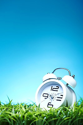 포토 JPG 스튜디오촬영 식물 시계 컬러 백그라운드 실내 근접촬영 잔디 초원 사람없음 초록색 자명종 풀 탁상시계 식물백그라운드 국내포토 뷰포인트 내부 알람 파일형식