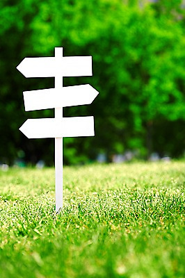 포토 JPG 주간 나무 식물 공원 컬러 백그라운드 알림판 잔디 초원 사람없음 야외 아웃포커스 초록색 표지판 풀 식물백그라운드 여의도공원 국내포토 자연요소 공공시설 촬영기법 여의도 파일형식