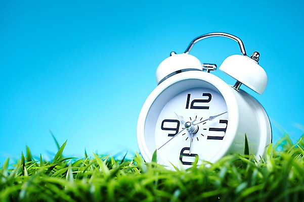 포토 JPG 스튜디오촬영 식물 시계 컬러 백그라운드 실내 근접촬영 잔디 초원 사람없음 초록색 자명종 풀 탁상시계 식물백그라운드 국내포토 뷰포인트 내부 알람 파일형식