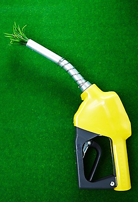 포토 JPG 스튜디오촬영 식물 컬러 백그라운드 실내 잔디 초원 사람없음 초록색 하이앵글 풀 식물백그라운드 주유기 국내포토 뷰포인트 내부 기계 주유 파일형식