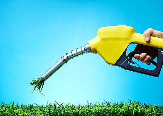 포토 JPG 스튜디오촬영 식물 손 컬러 백그라운드 한손 실내 한명 들기 사람 잔디 초원 신체부위 초록색 풀 식물백그라운드 주유기 국내포토 1 모션 내부 기계 주유 파일형식