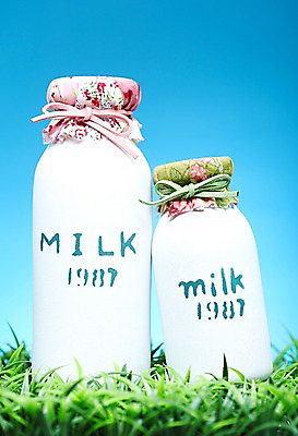 포토 JPG 스튜디오촬영 식물 음료 백그라운드 실내 근접촬영 잔디 초원 사람없음 우유 풀 우유병 식물백그라운드 국내포토 뷰포인트 병_용기 유제품 내부 파일형식