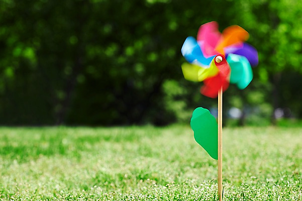 포토 JPG 주간 나무 식물 공원 컬러 백그라운드 잔디 초원 사람없음 야외 아웃포커스 초록색 장난감 놀이용품 풀 바람개비 식물백그라운드 여의도공원 국내포토 자연요소 공공시설 촬영기법 오브젝트 여의도 파일형식