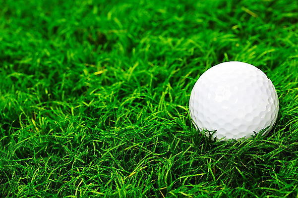 포토 JPG 스튜디오촬영 식물 스포츠용품 스포츠 컬러 백그라운드 골프 스포츠시설 필드 레저 골프공 골프용품 실내 근접촬영 잔디 초원 사람없음 초록색 레포츠 풀 식물백그라운드 국내포토 뷰포인트 공 내부 구기 오브젝트 시설 파일형식