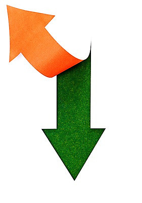 포토 JPG 스튜디오촬영 식물 화살표 컬러 백그라운드 실내 누끼 잔디 초원 사람없음 초록색 풀 방향 식물백그라운드 국내포토 내부 파일형식