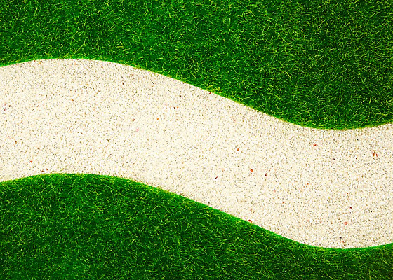 포토 JPG 스튜디오촬영 식물 모래 컬러 백그라운드 실내 잔디 사람없음 초록색 하이앵글 식물백그라운드 국내포토 뷰포인트 내부 파일형식