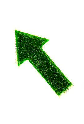 포토 JPG 스튜디오촬영 식물 화살표 컬러 백그라운드 실내 누끼 잔디 초원 사람없음 초록색 풀 방향 식물백그라운드 국내포토 내부 파일형식